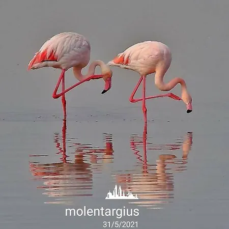 A Casa Di Nonna Daire