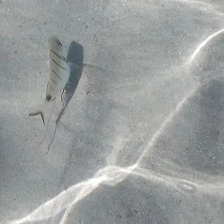 A Casa Di Nonna Apartamento