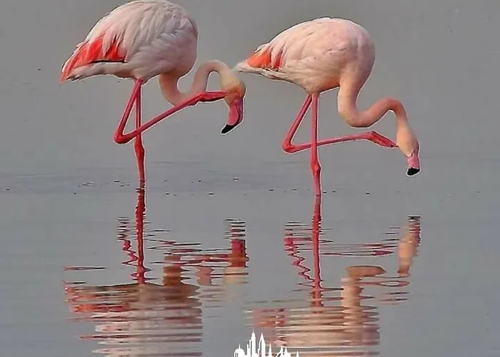 A Casa Di Nonna Apartament