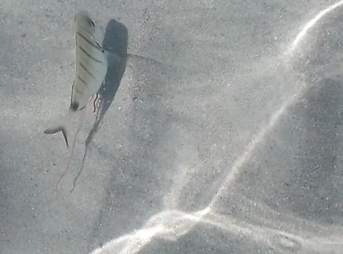 A Casa Di Nonna Apartament